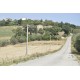 PRESTIGIOUS PALAZZO NOBILIARE IN THE COUNTRYSIDE FOR SALE IN FERMO SURROUNDING THE WONDERFUL 1800 IN PANORAMIC POSITION in the Marche region in Italy in Le Marche_24